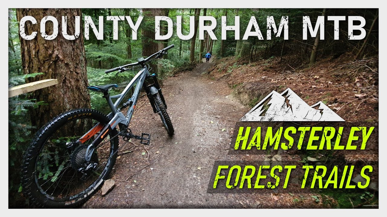 Hamsterley Forest Trail Centre | County Durham - Mountain Biking 4K 2020