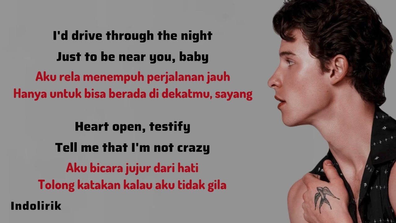 Mercy - Shawn Mendes | Lirik Terjemahan Indonesia