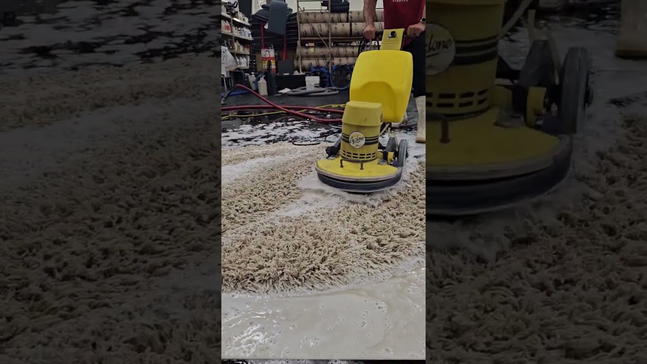 Full Wash Video Fluffy, Dirty Rug! #Wash #rugclean #rug #rugs #clean #satisfying #squeegee #rinse