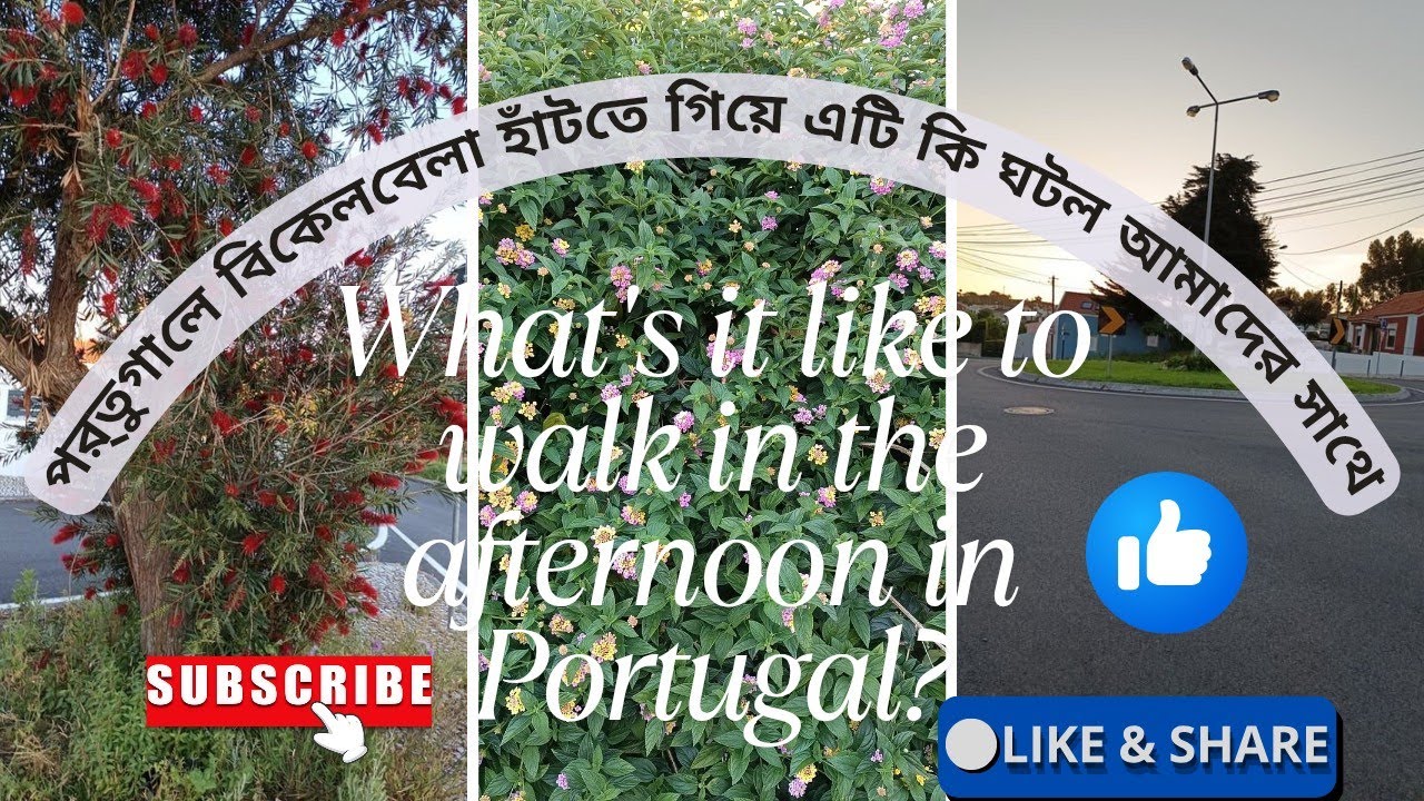What's it like to walk in the afternoon in Portugal? #vlog #vlogs #familyvlog #portugal