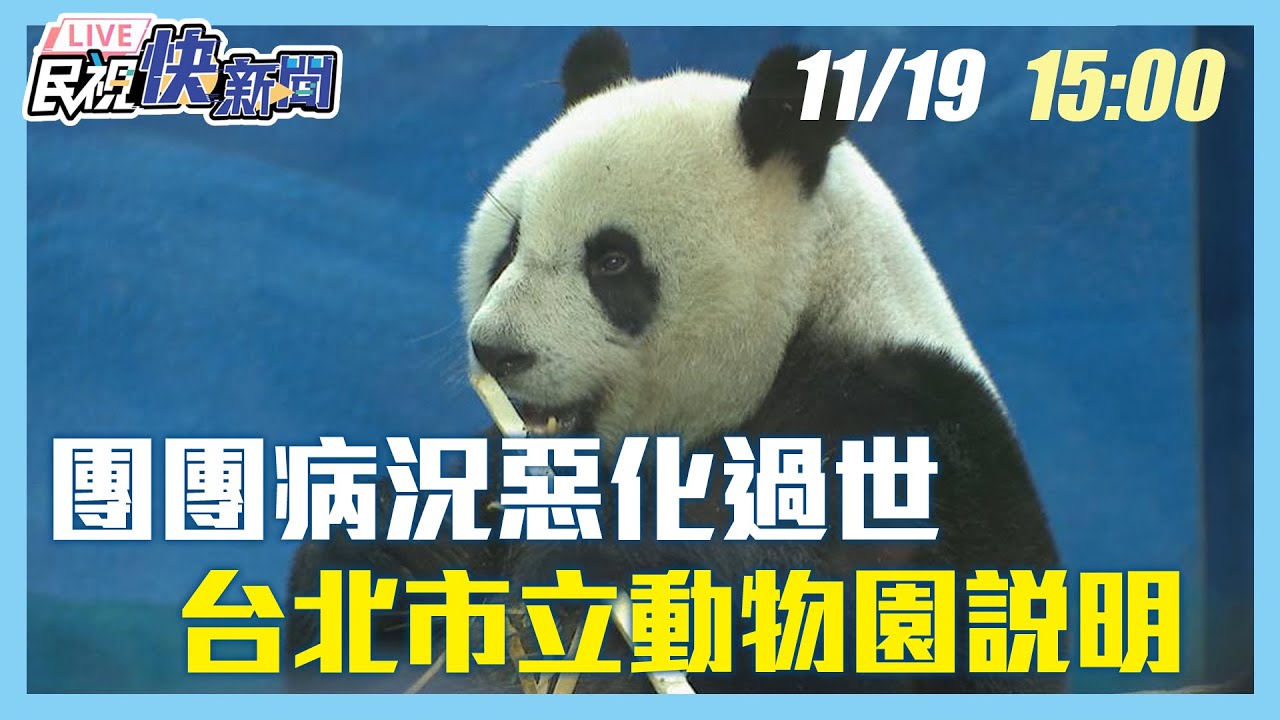【LIVE】1119 團團病況惡化過世 台北市立動物園說明｜民視快新聞｜