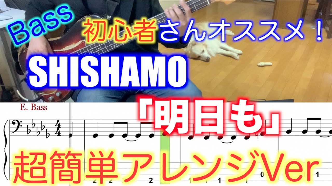 【Bass初心者さんオススメ！】SHISHAMO/明日も【Bass簡単アレンジVer】５線譜&Tab譜付き