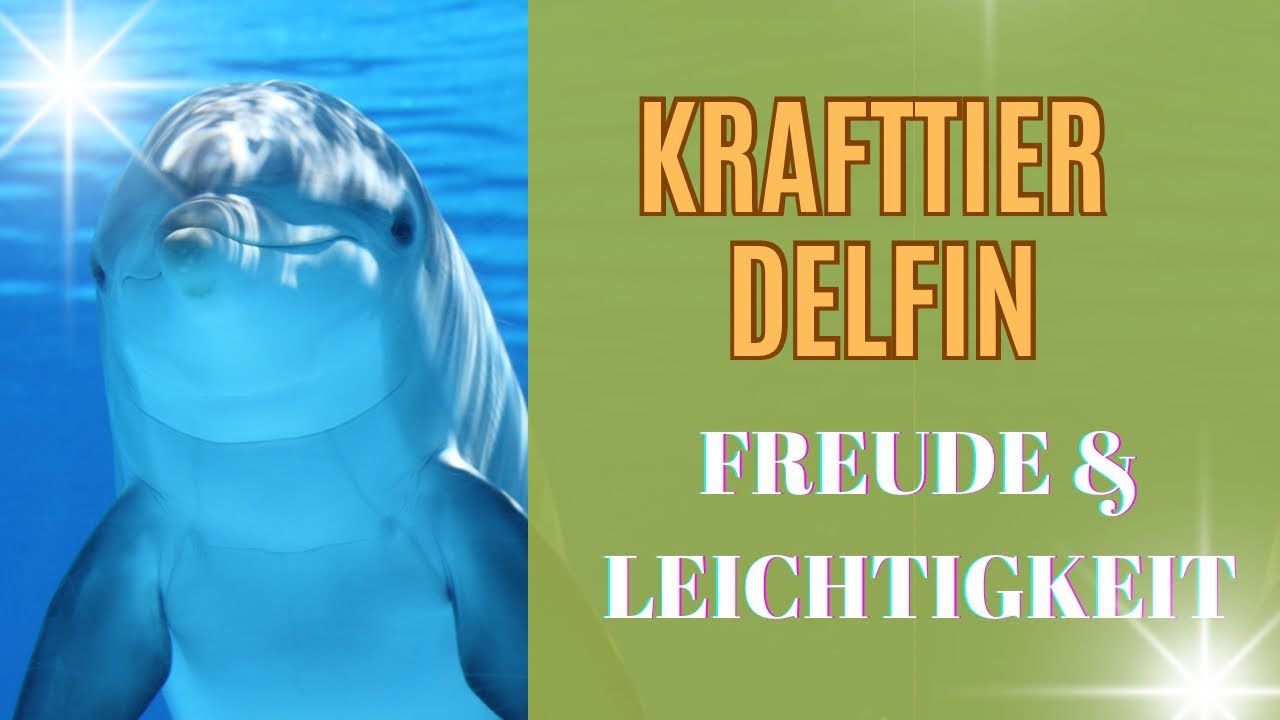 Schamanisches Krafttier DELFIN \ DELPHIN