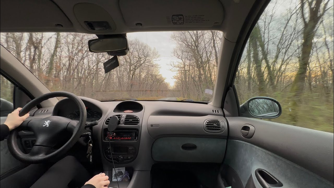Driving POV - French Countryside on a Cool Weather Day | Peugeot 206 Sounds