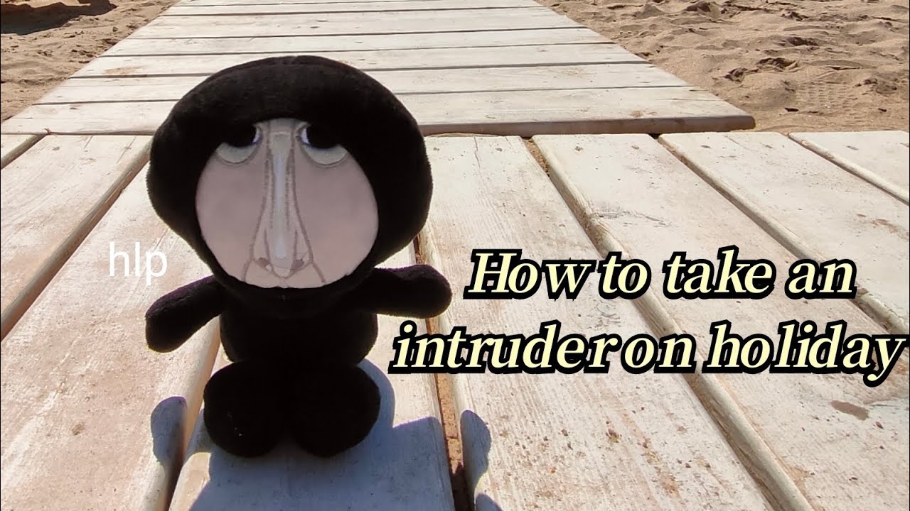 How to take an intruder on holiday (The Mandela Catalogue)