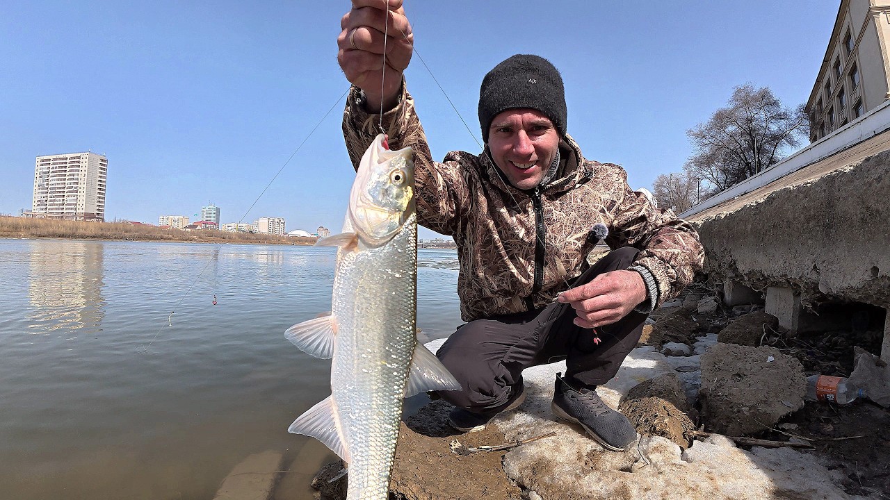 Первая рыбалка по открытой воде в городе | Удачный улов