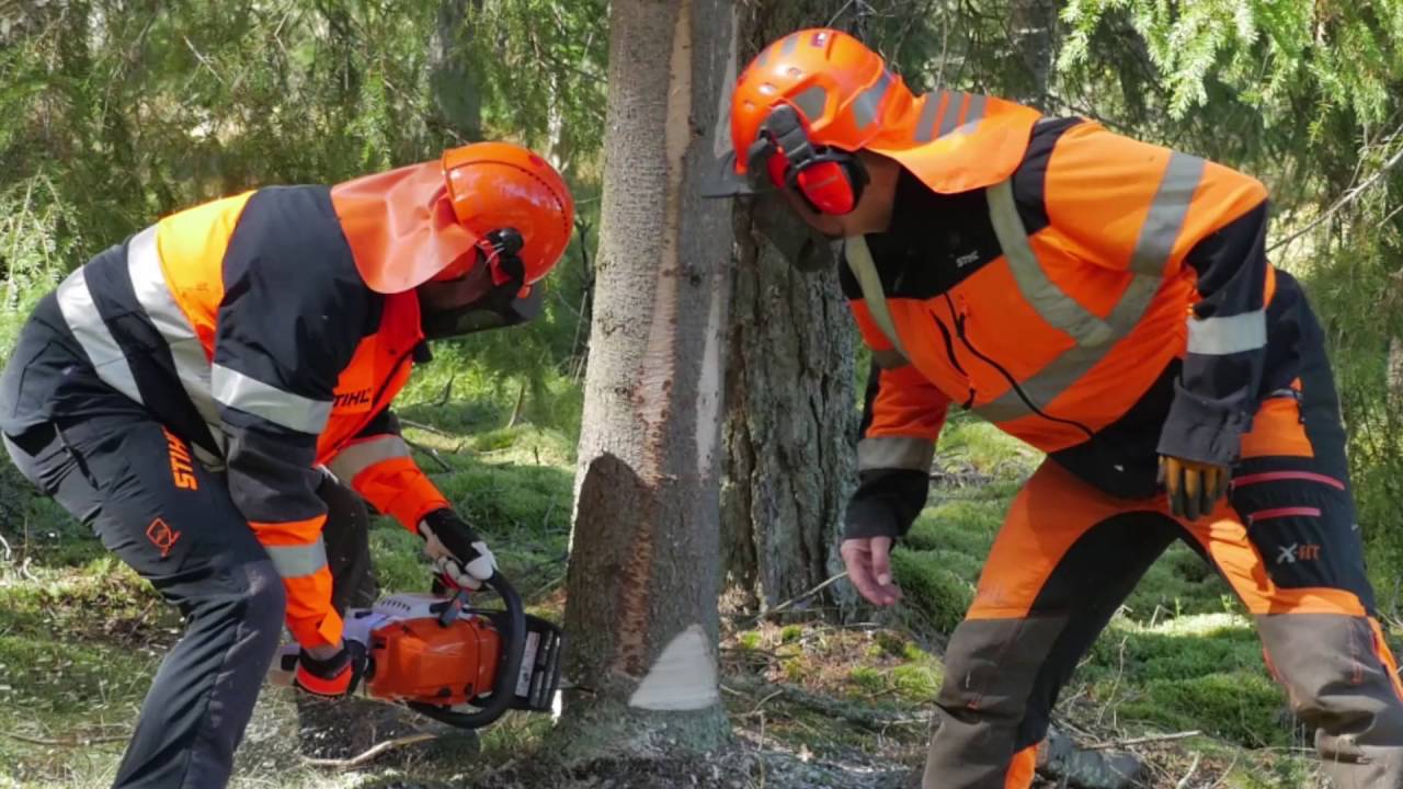 Skogsforum tar motorsågskörkort