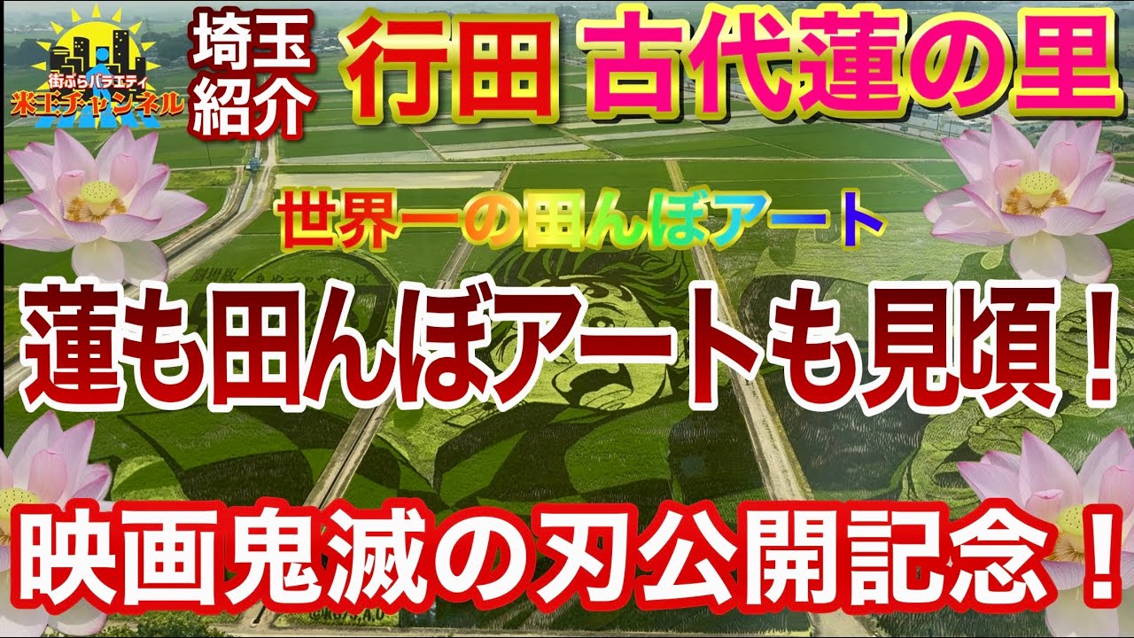 【埼玉紹介】鬼滅の刃公開直前記念！行田の田んぼアートと見頃の蓮を見に古代蓮の里に行ってきた！