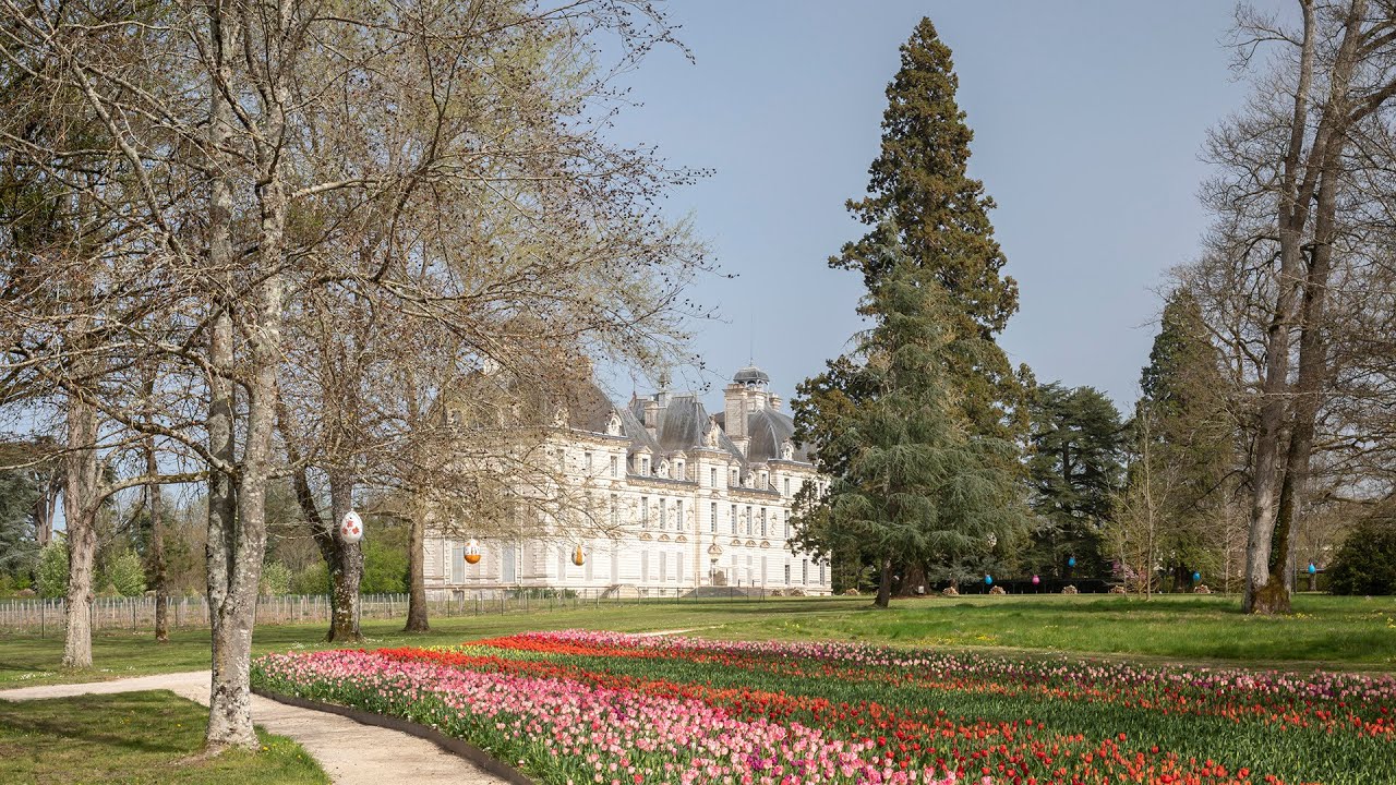 How to Photograph Tulips at Chateau de Cheverny