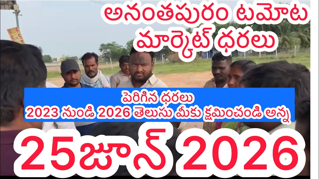 అనంతపురం టమోటా  మార్కెట్ ధరలు 25 జూన్ 2026
