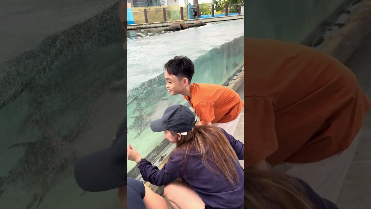 Ocean park 2026