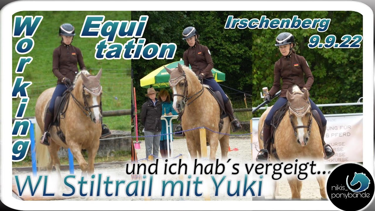 nikis_ponybande: ... und ich hab&acute;s vergeigt | Working Equitation Stiltrail L mit Yuki | Irschenberg