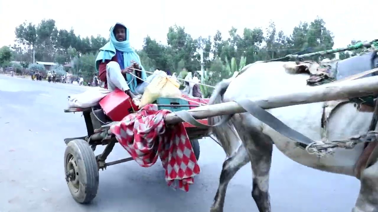 ፍላቂት ገረገራ  ከተማ