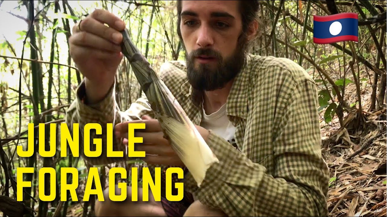 Foraging + Eating BAMBOO in the JUNGLE |Laos 2021|