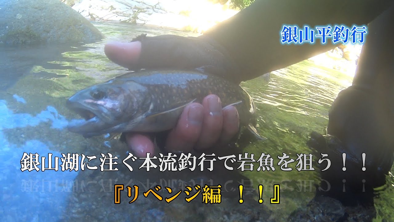 銀山湖に注ぐ本流でリベンジ！【銀山平釣行vol.14】