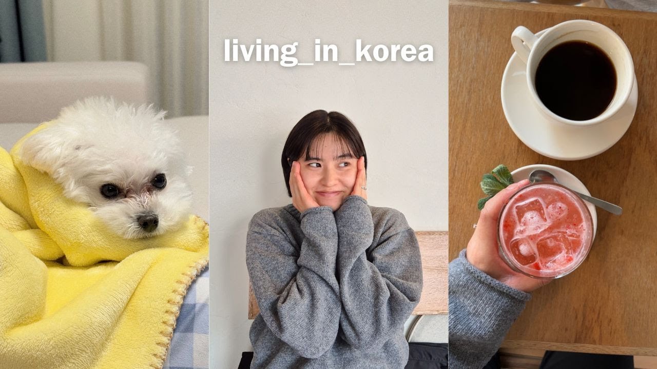 painting cafe in seoul 🎨 + cafe hopping & dog-sitting