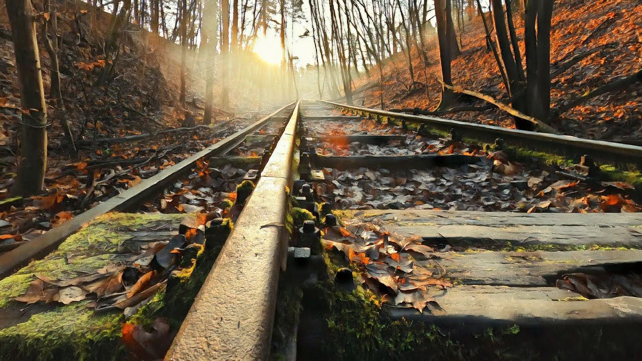 Eine Liebeserklärung an die Friedhofsbahn