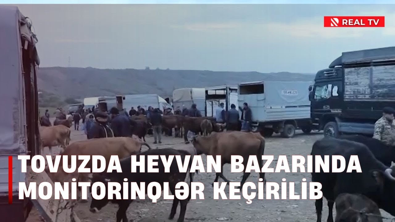 Tovuzda heyvan bazarında monitorinqlər ke&ccedil;irilib