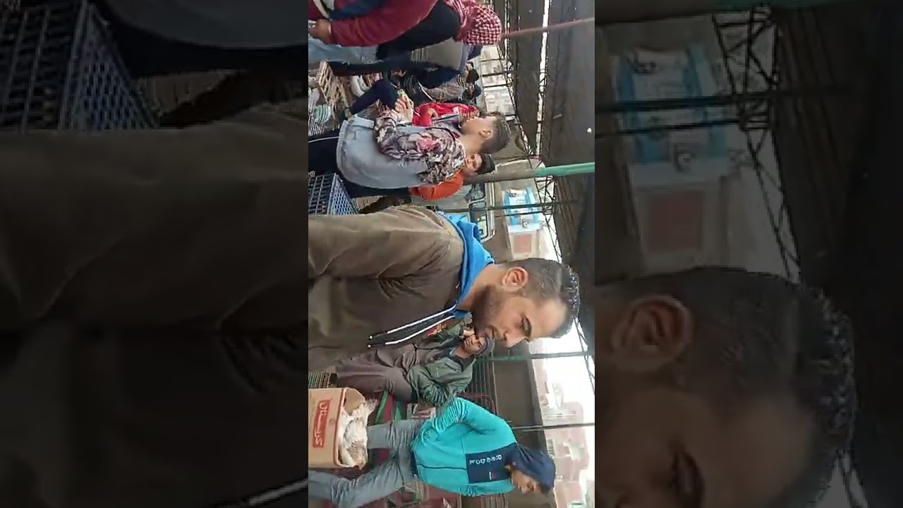 سوق الحمام في الزقازيق والجديد كل اسبوع وفي كلاب عجيبه