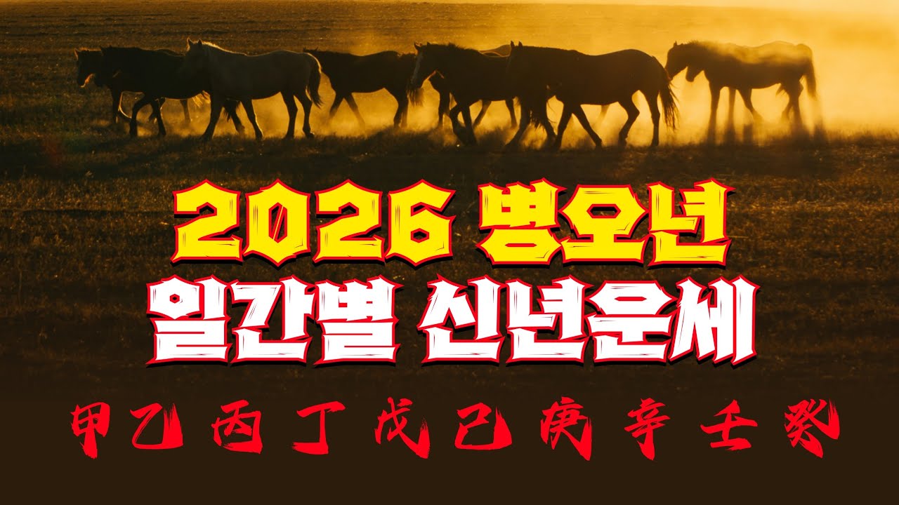 2026년 병오년 일간별 운세(설명란에 타임라인)