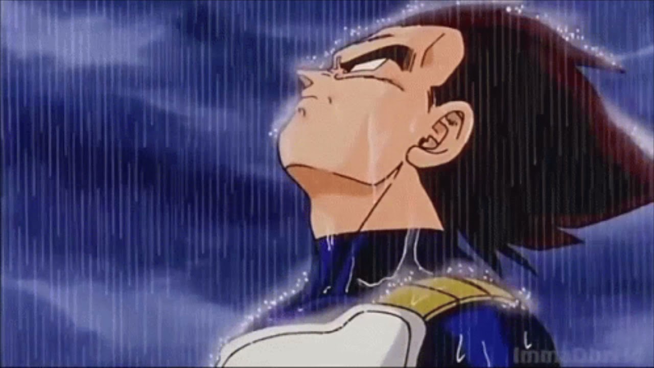 DBZ - Vegeta's Vision [Slowed+Reverb]