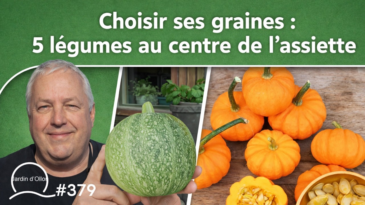 #379-Choisir ses graines : 5 légumes au centre de l'assiette !