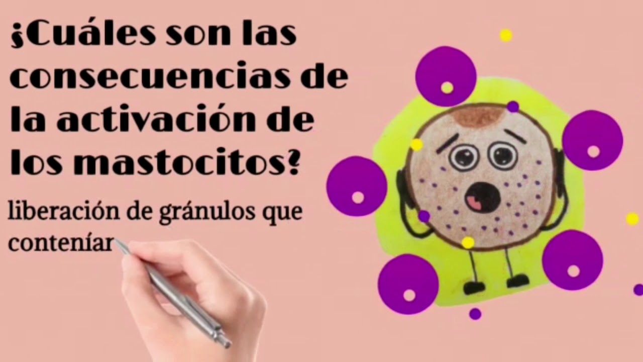 Los mastocitos