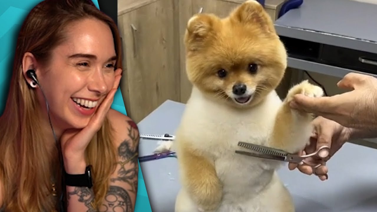 These TikToks will brighten your day