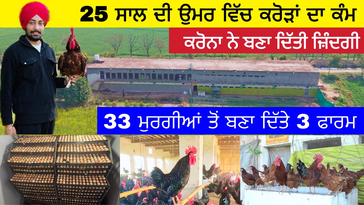 25 ਸਾਲ ਦੇ ਮੁੰਡੇ ਦਾ ਦੇਸੀ ਮੁਰਗੀ ਫਾਰਮ | Poultry King Patiala Desi Murgi farm #desimurgifarming