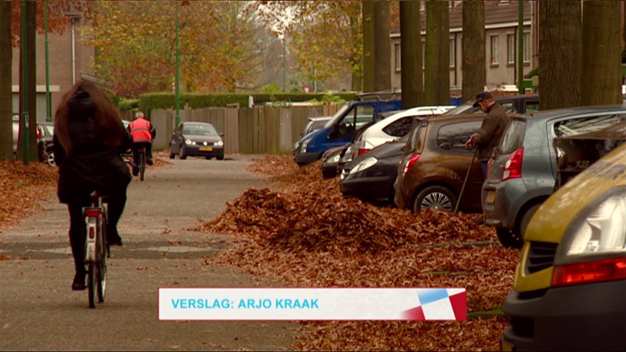 Gitaarheld van 87 jaar