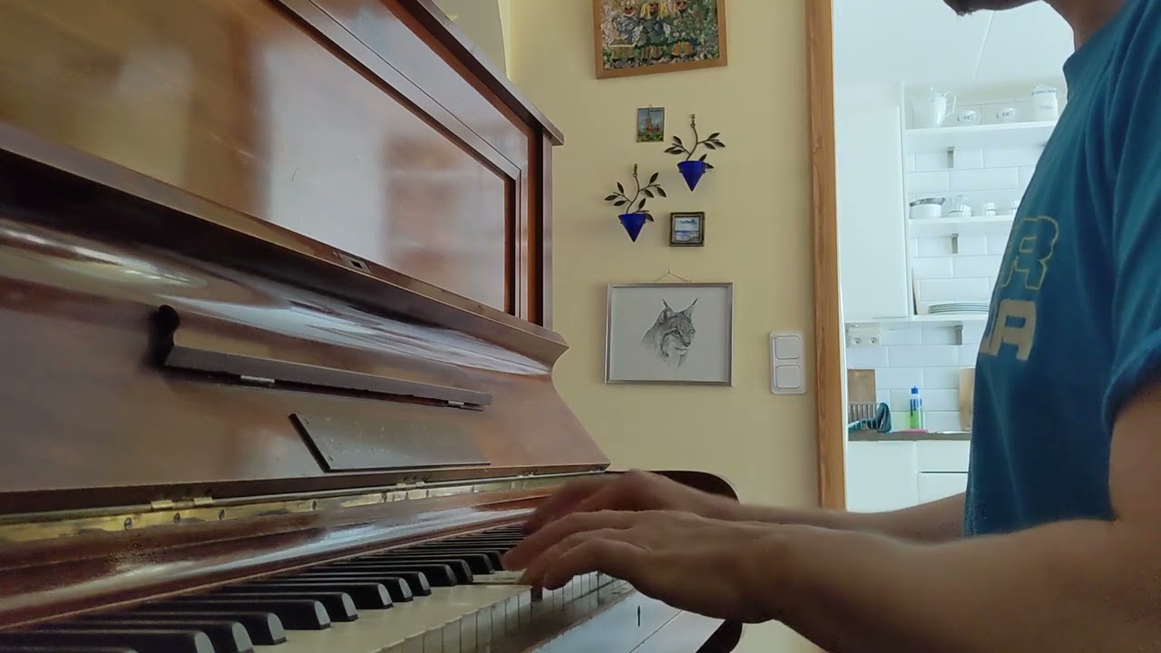 Fyrdung - Till Vapen - Piano Cover