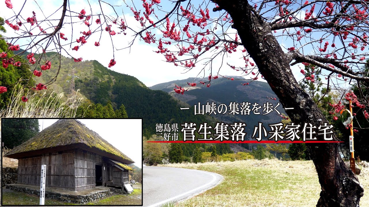 ～山峡の集落を歩く～ 徳島県三好市【 東祖谷・菅生集落 小彩家住宅 】【～Walk through the mountain village～】