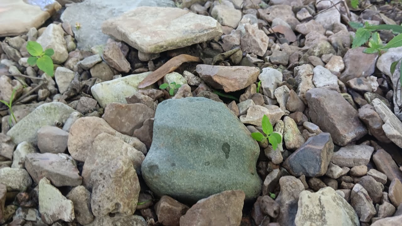 A Hunt To Remember!  MO Arrowhead Hunting!