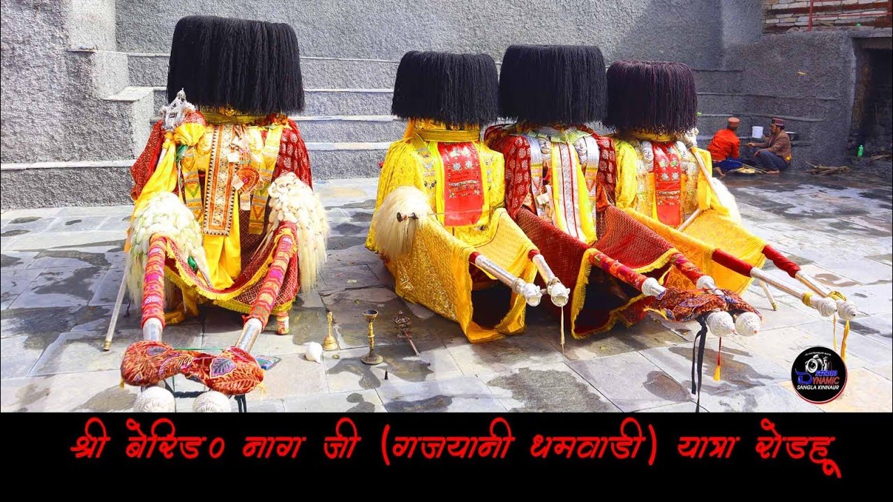 JAI SHRI ZANGU NAGES JI /SANGLA TO GHANI / DHAMWARI/ROHRU/ 2024/DYNAMIC STUDIO SANGLA