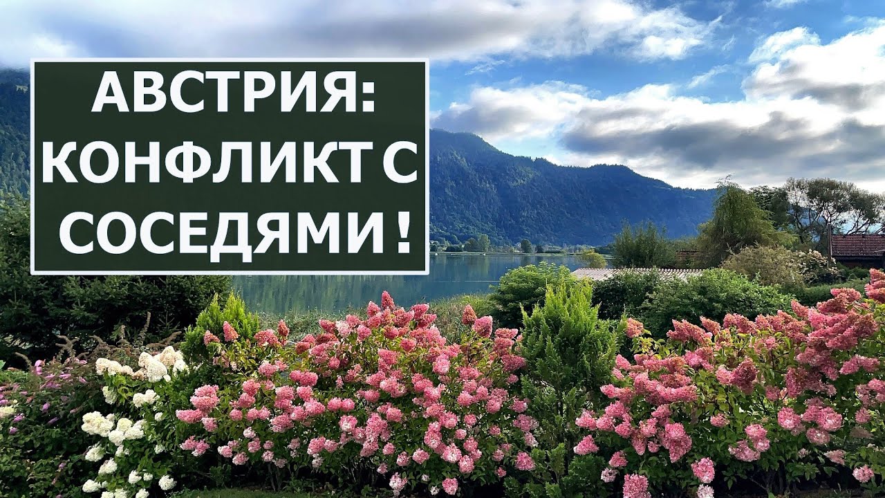 Австрия, строительство дома. Конфликт с соседями