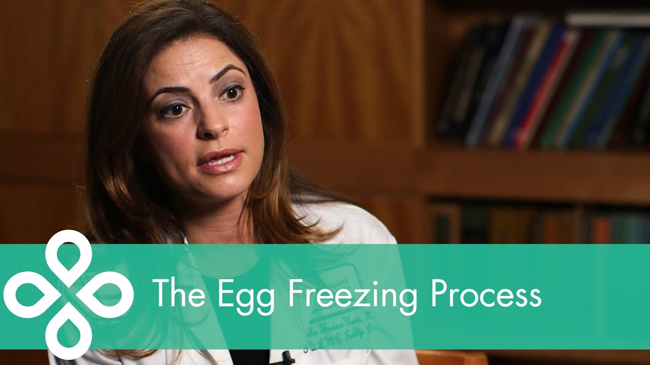 The Egg Freezing Process