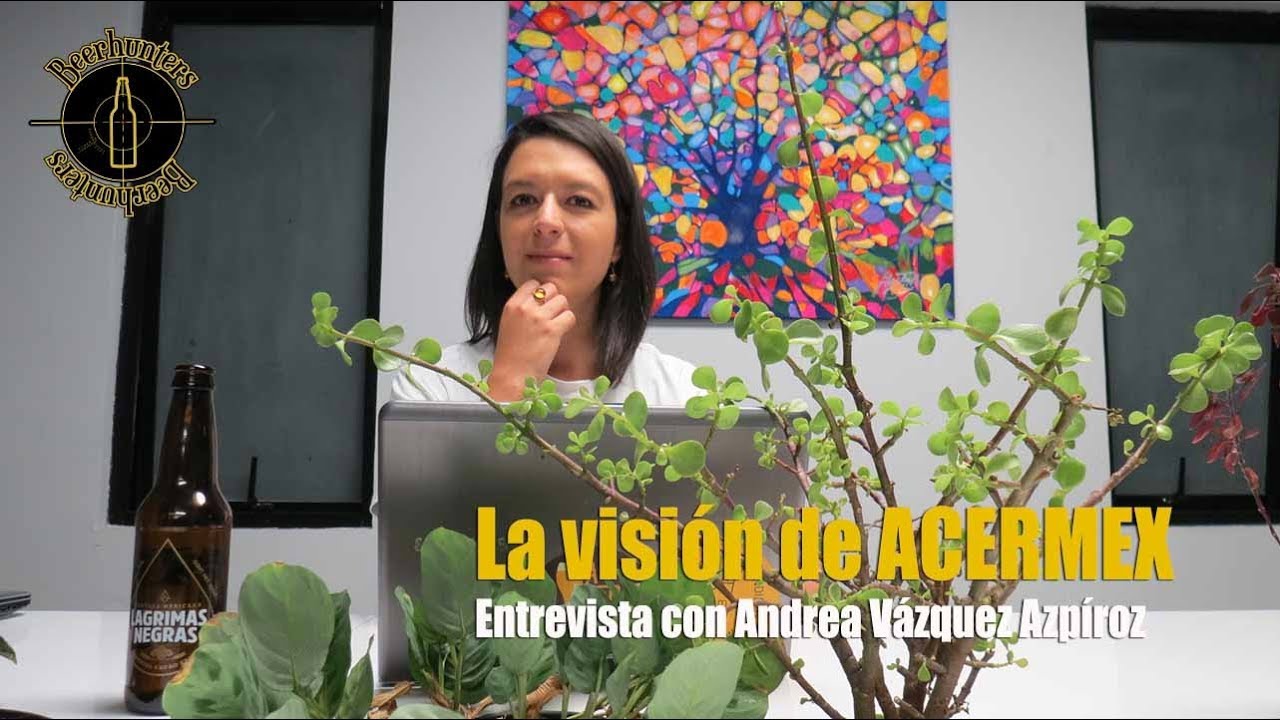 Entrevista con Andrea V&aacute;zquez Azp&iacute;roz, directora de Acermex