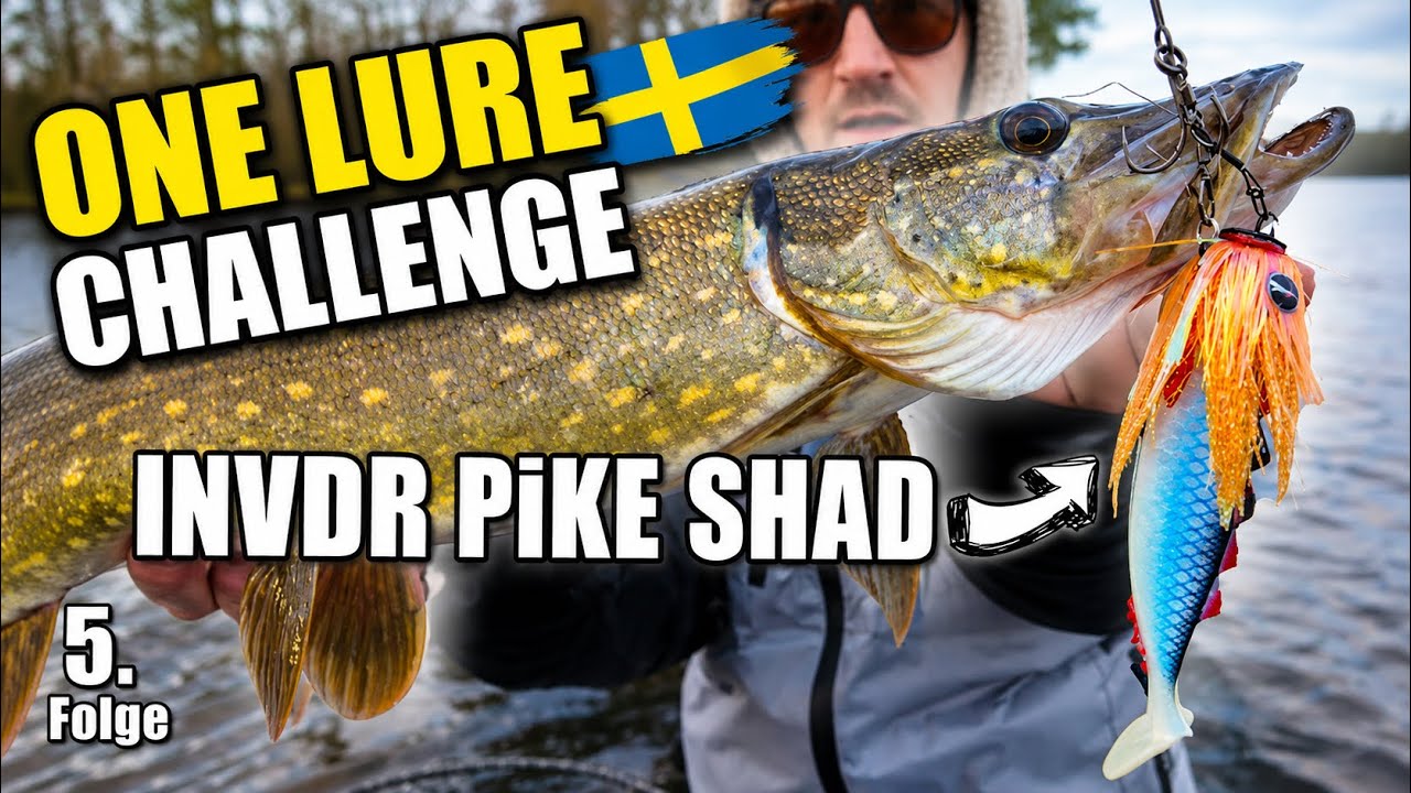 One Lure Challenge: INVDR Pike Shad Hechtangeln inkl. Catch & Cook