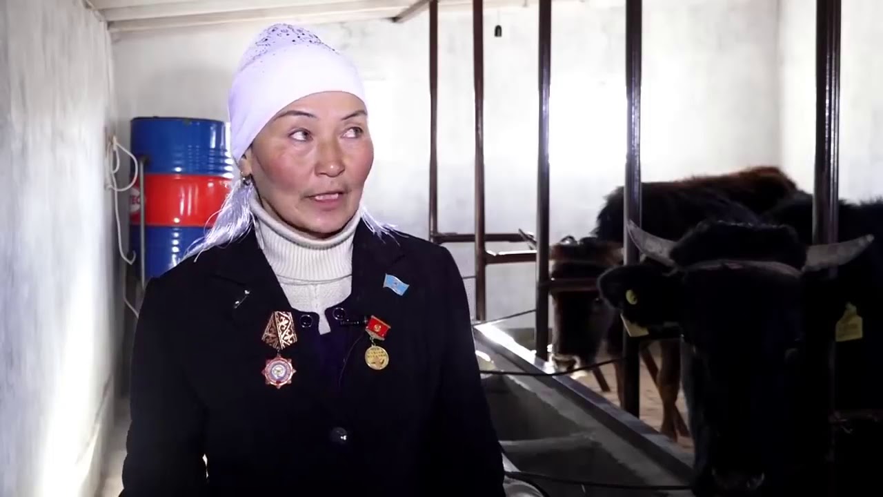 Элет деми. Мал чарбачылыгы