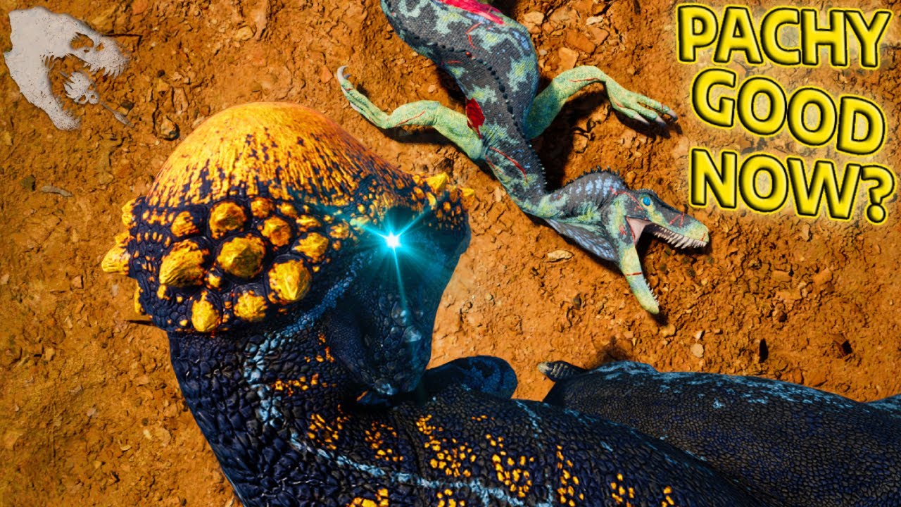 Is Pachy Fun Now? | The isle Evrima Gameplay