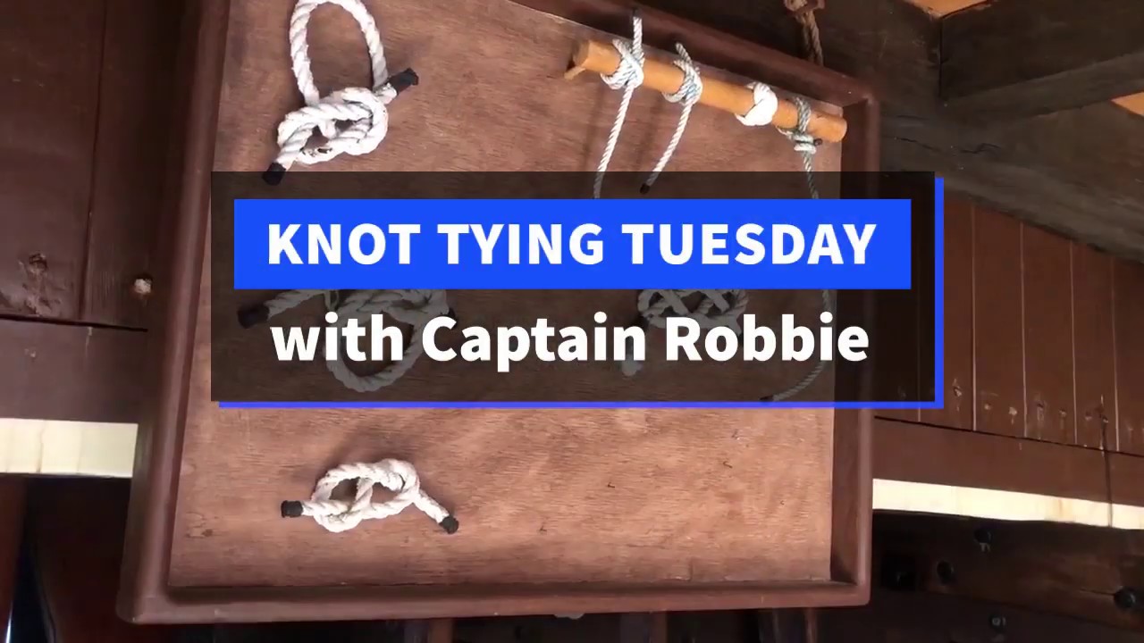 Knot Tying Tuesday: Figure-Eight Knot