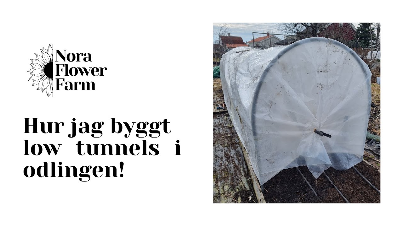 Hur jag byggt low tunnels i snittblomsodlingen!