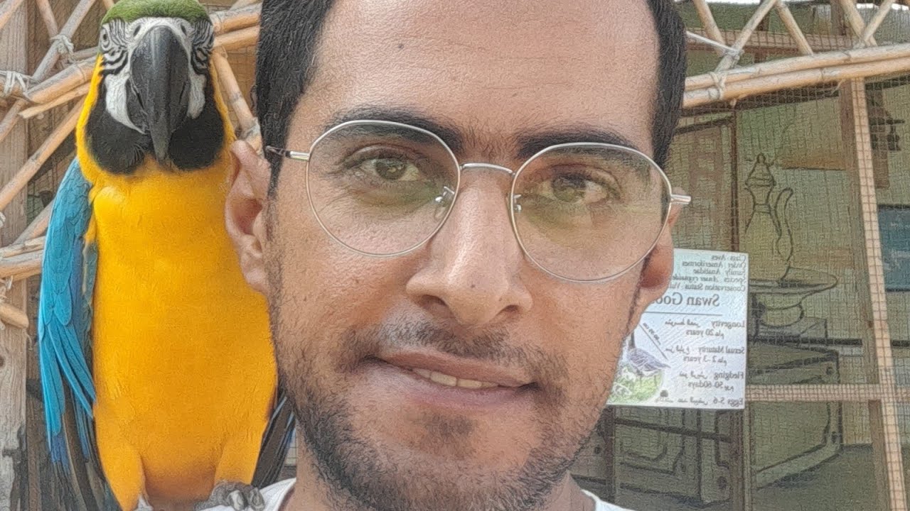 اول حديقة الحيوان في بورسعيد😊                               🐒🦌🐕🐊🐢🪿🦢🕊🦉🦜🦎🐍