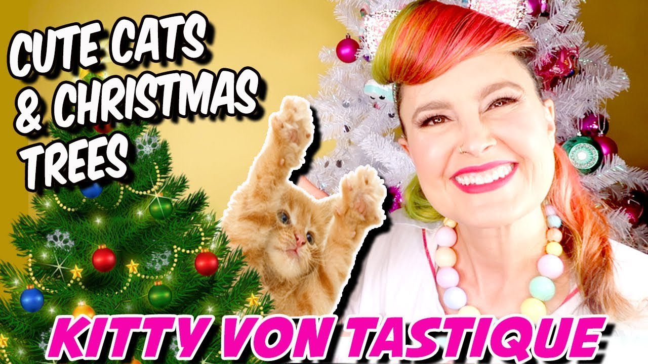 Cute Cats At Christmas - Real Cats vs Christmas Trees - Funny Cats Christmas Compilation 2018