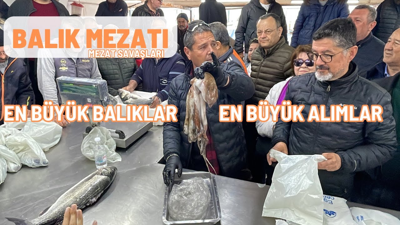 Haftanın en büyük balıkları ve en büyük alımları bu mezatta 02.03.2024 #balık #mezat #balıkmezatı