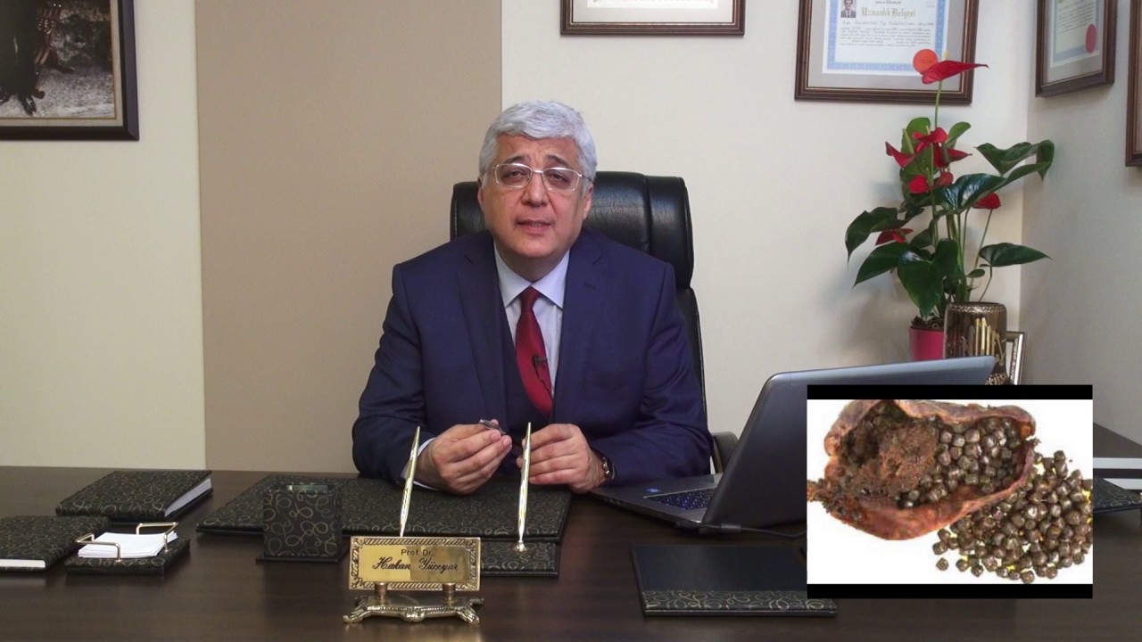 1 Safra kesesi taşları ilaçla eritilebilir mi?