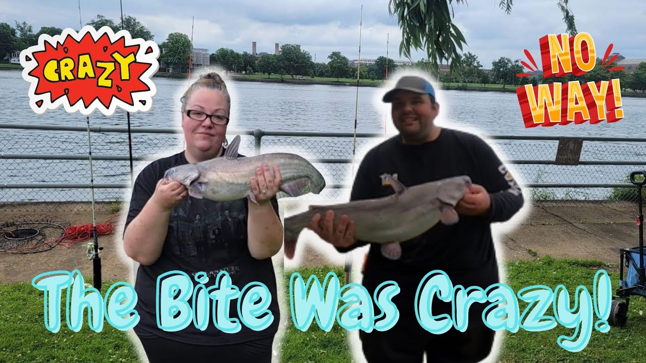 Catching Catfish during Spawn on the Potomac River (The Bite Was Crazy!)