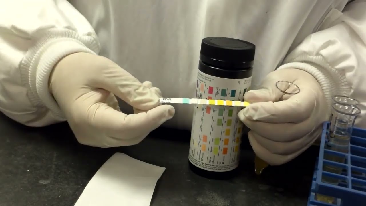 Dipstick UA