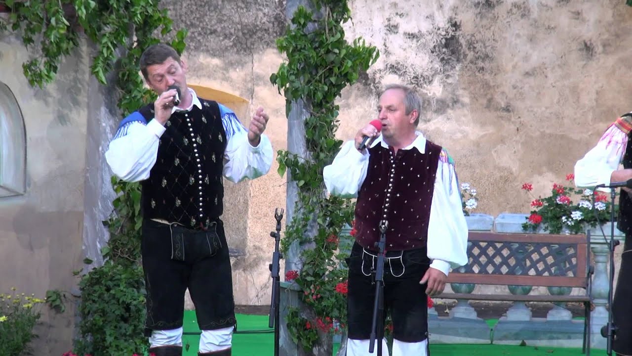 Ansambel Dolenjski zvoki (Straža)-Prijateljem (v živo)