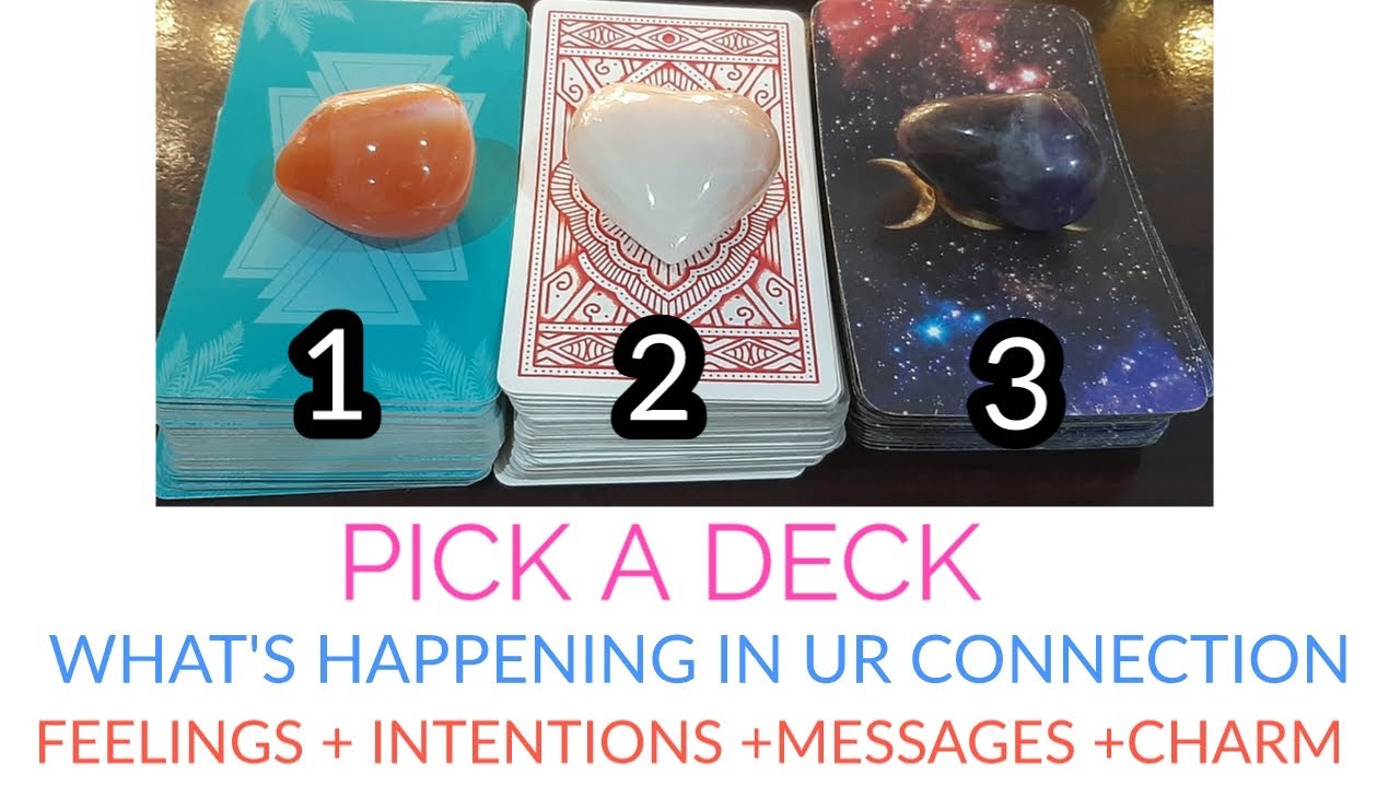 WHAT'S HAPPENING IN UR CONNECTION 🔮 CURRENT FEELINGS, INTENTIONS & WHAT'S NEXT 🤔 TIMELESS